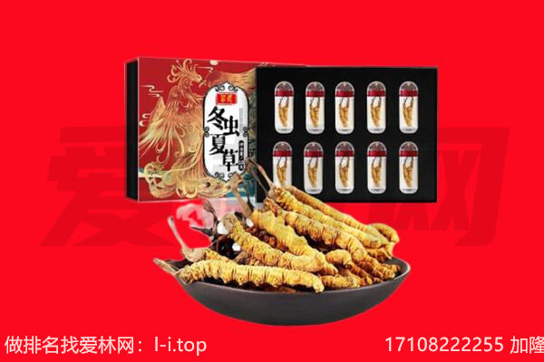 神农架回收虫草.jpg